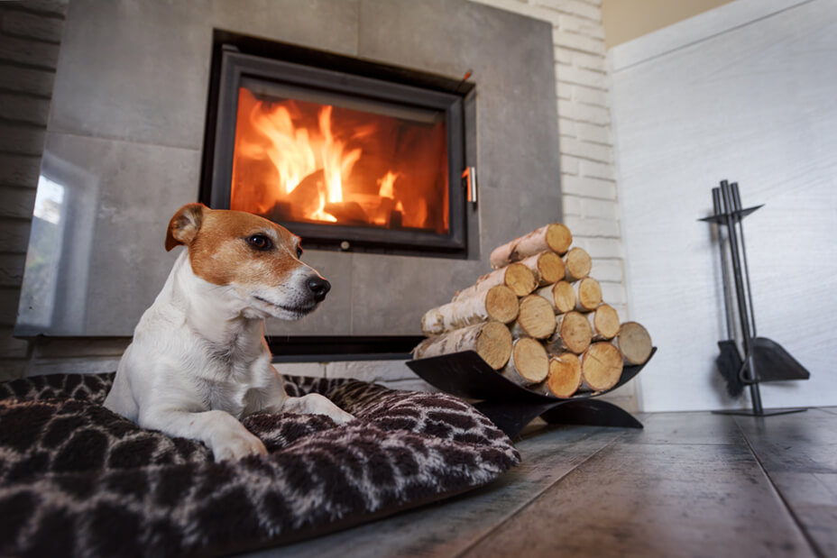 jack russel laying next to clean, modern fireplace